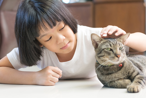 How to Stay Safe and Have Fun When Kids and Pets Play